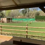 B&B Rancho Catalan 2 Castell-Platja d'Aro