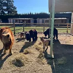 B&B Rancho Catalan 2