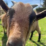 Frühstückspension Rancho Catalan 2