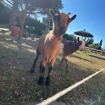 Frühstückspension Rancho Catalan 2 *