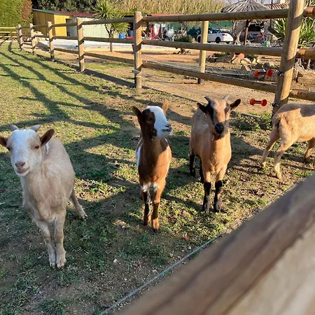 Rancho Catalan 2 *