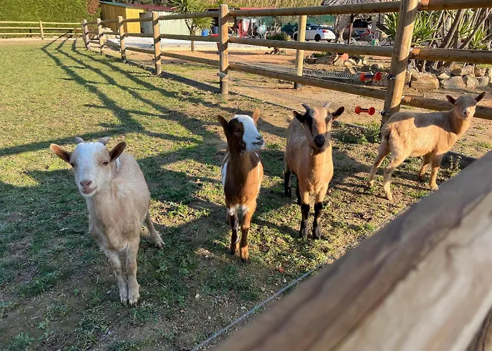 Rancho Catalan 2 *